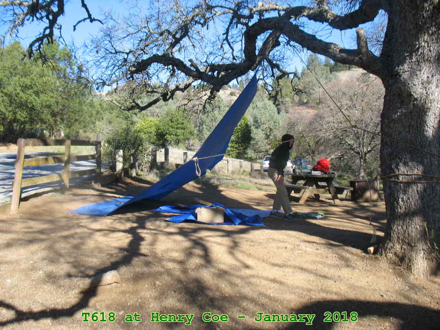 Picture 0035