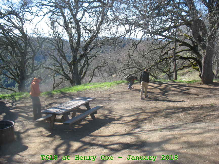Picture 0036