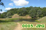 Picture 0005