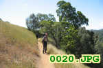 Picture 0020