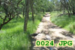 Picture 0024