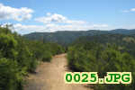 Picture 0025