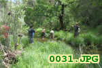 Picture 0031