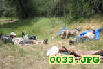 Picture 0033