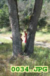Picture 0034