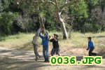 Picture 0036