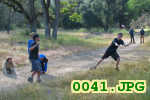 Picture 0041