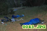 Picture 0043