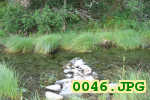 Picture 0046