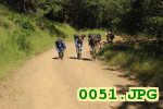 Picture 0051