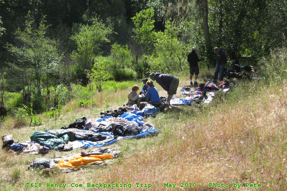 Picture 0011