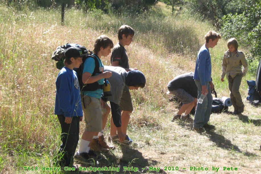 Picture 0015