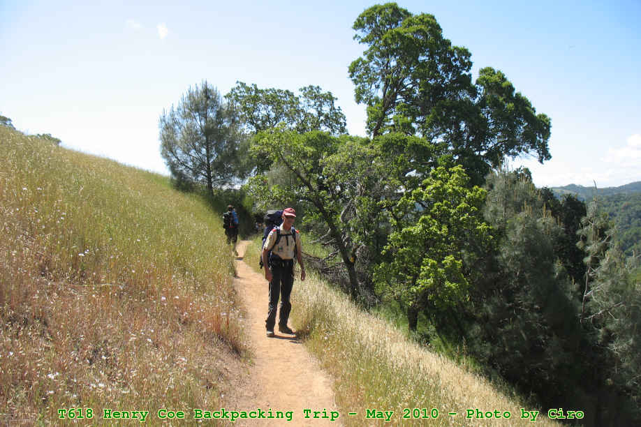 Picture 0020