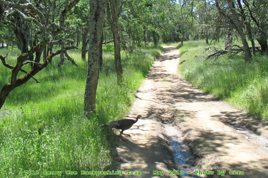 Picture 0024