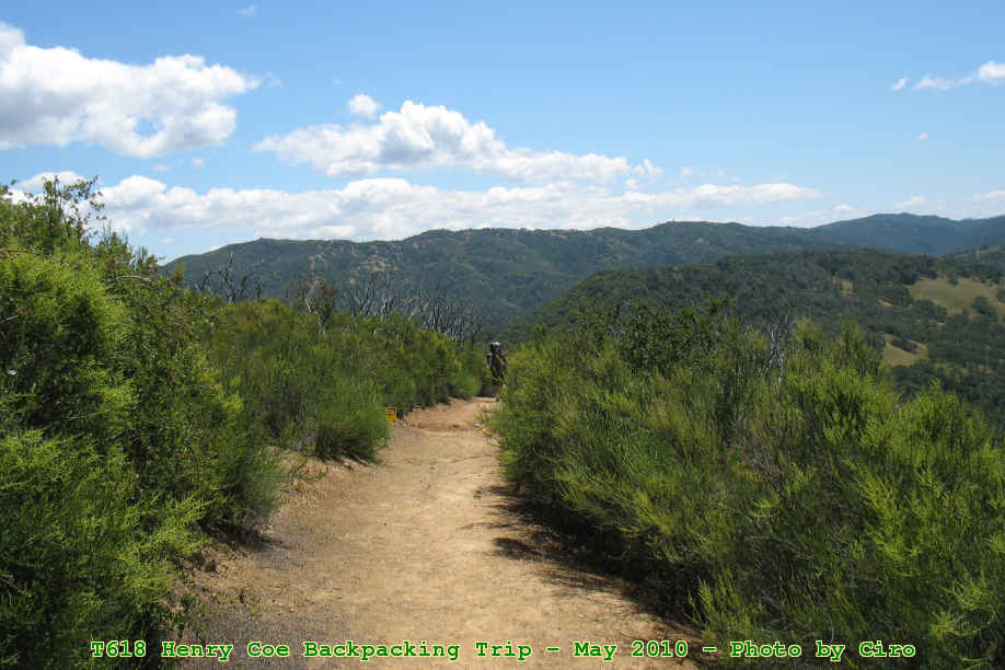 Picture 0025