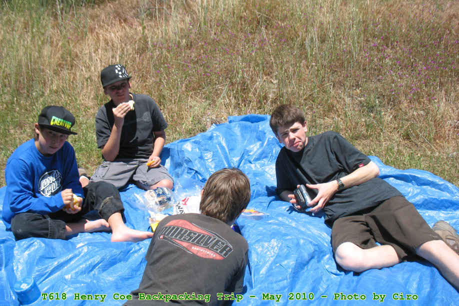 Picture 0029