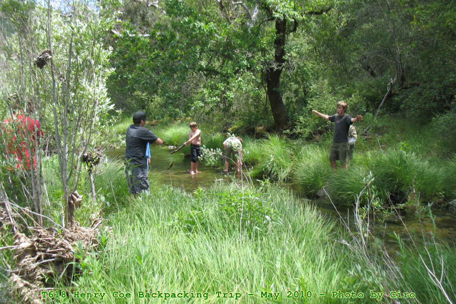 Picture 0031