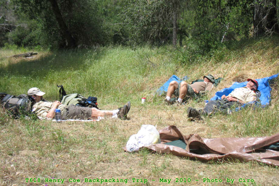 Picture 0033