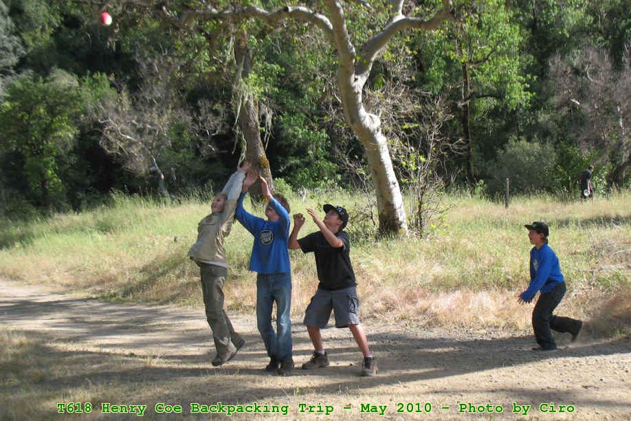 Picture 0036
