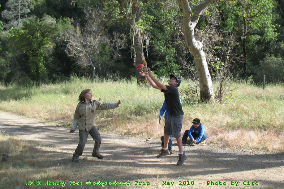 Picture 0037