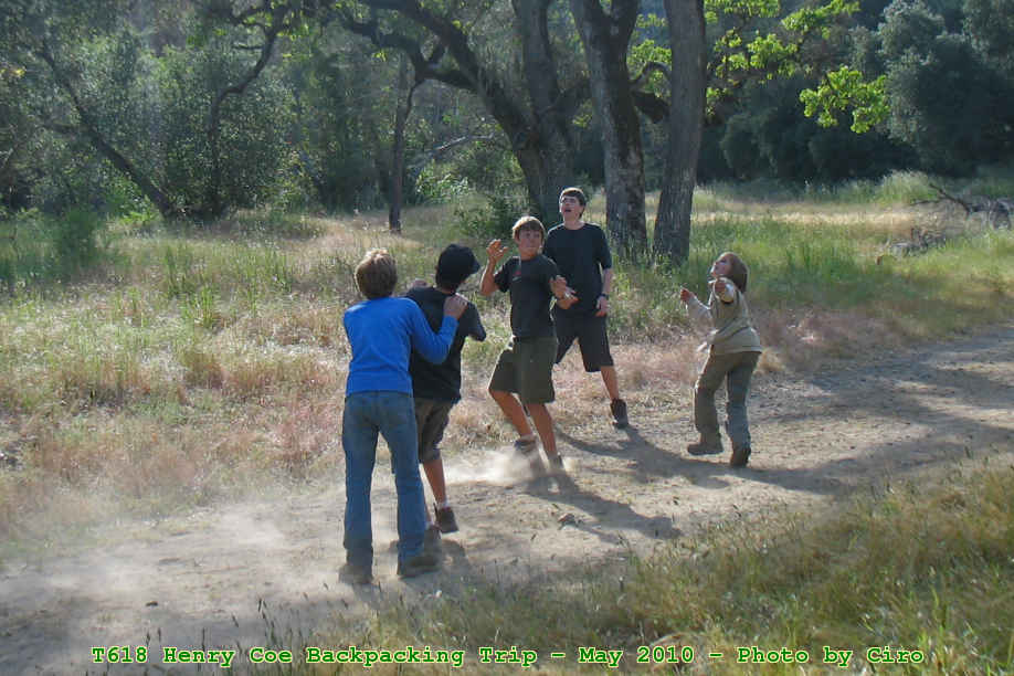 Picture 0038