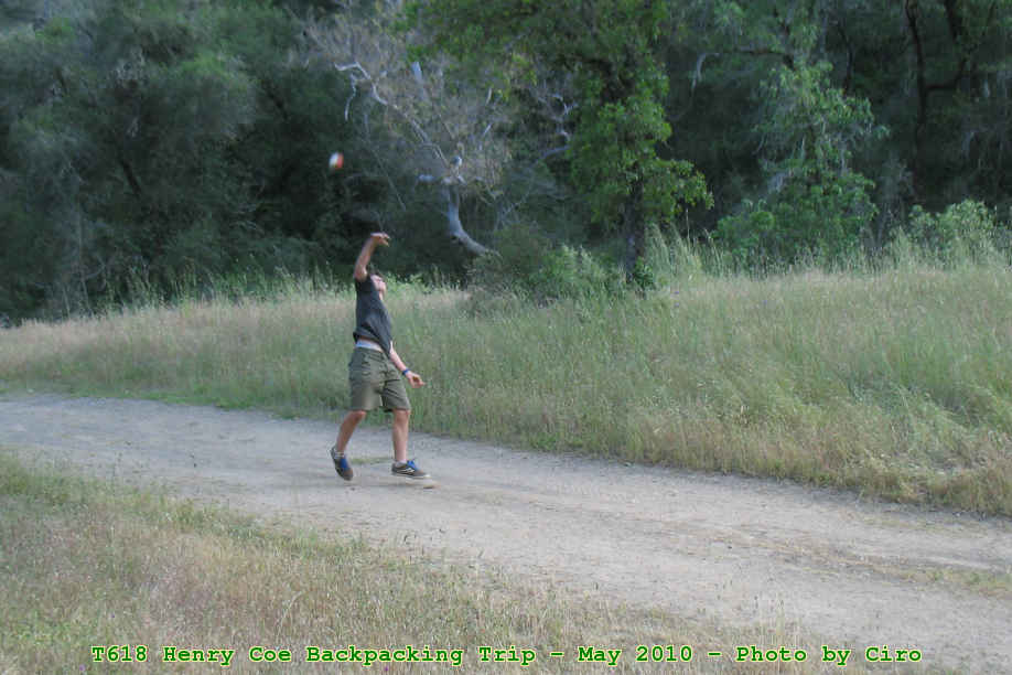 Picture 0040