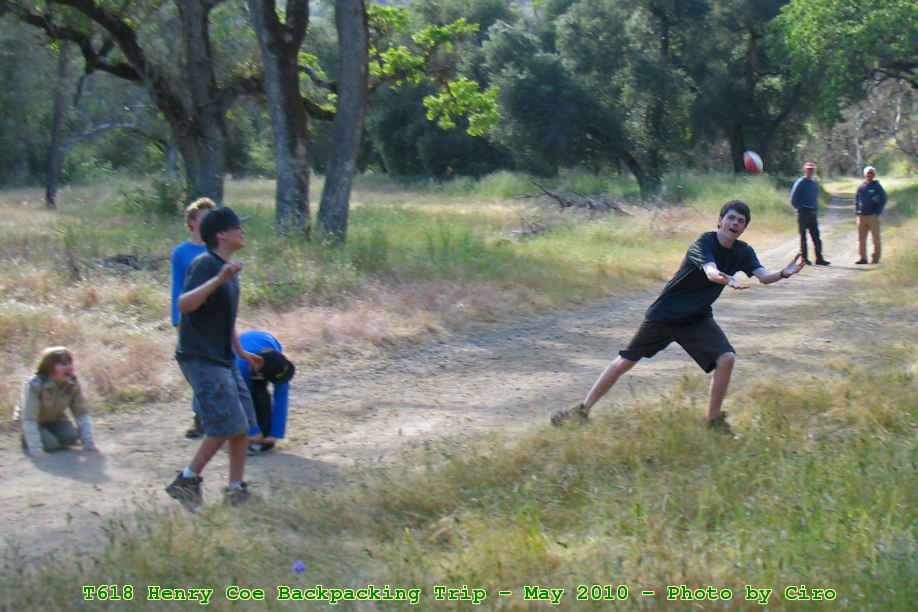 Picture 0041