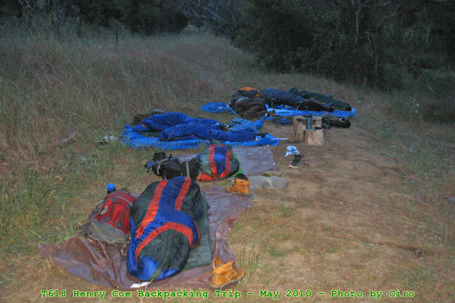 Picture 0042