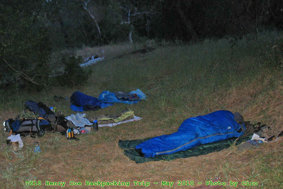 Picture 0043