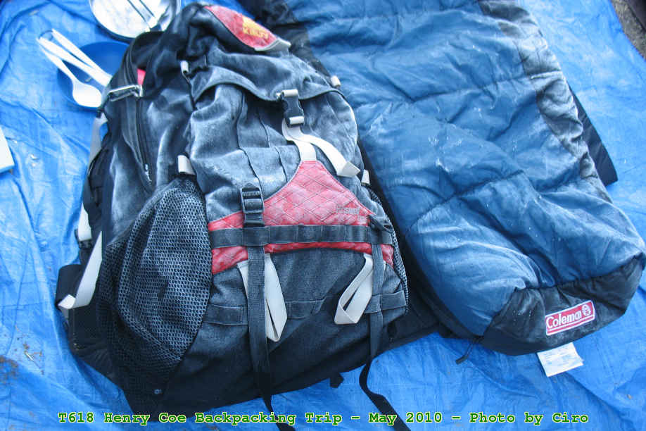 Picture 0044