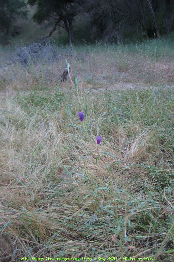 Picture 0045