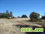 Picture 0003