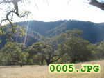 Picture 0005