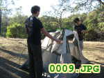 Picture 0009
