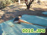 Picture 0010