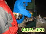 Picture 0016