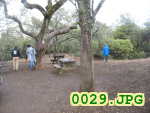 Picture 0029