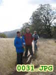 Picture 0031