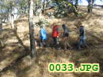 Picture 0033