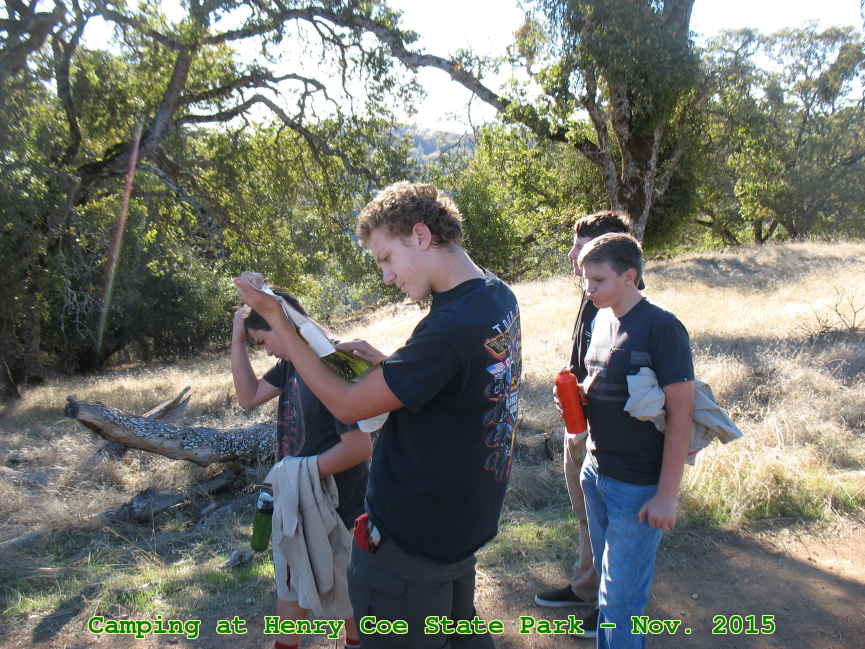 Picture 0002