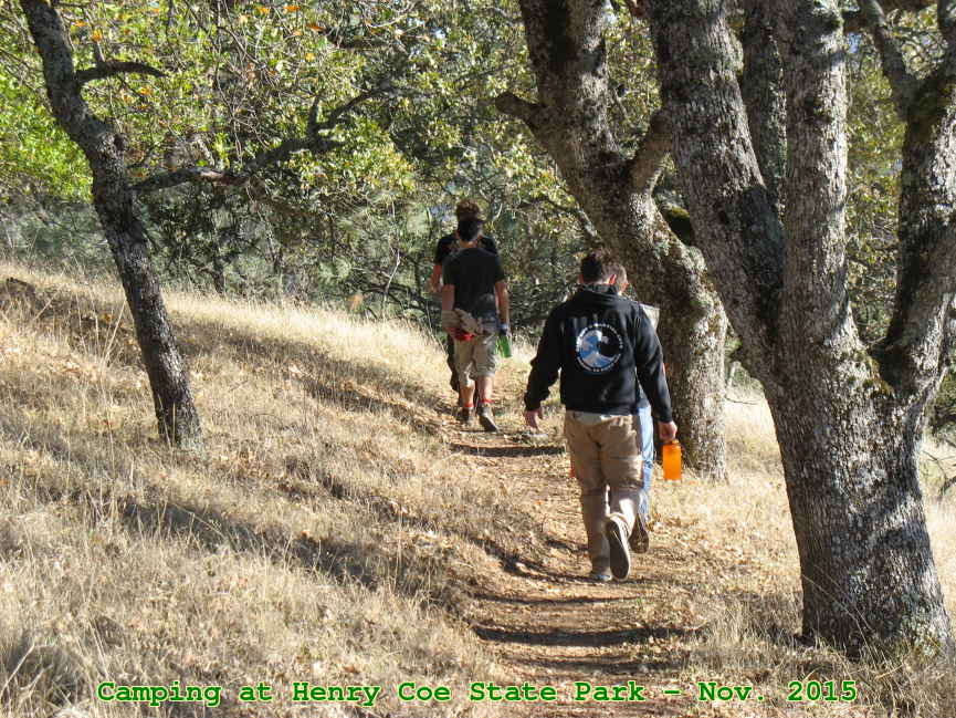 Picture 0004