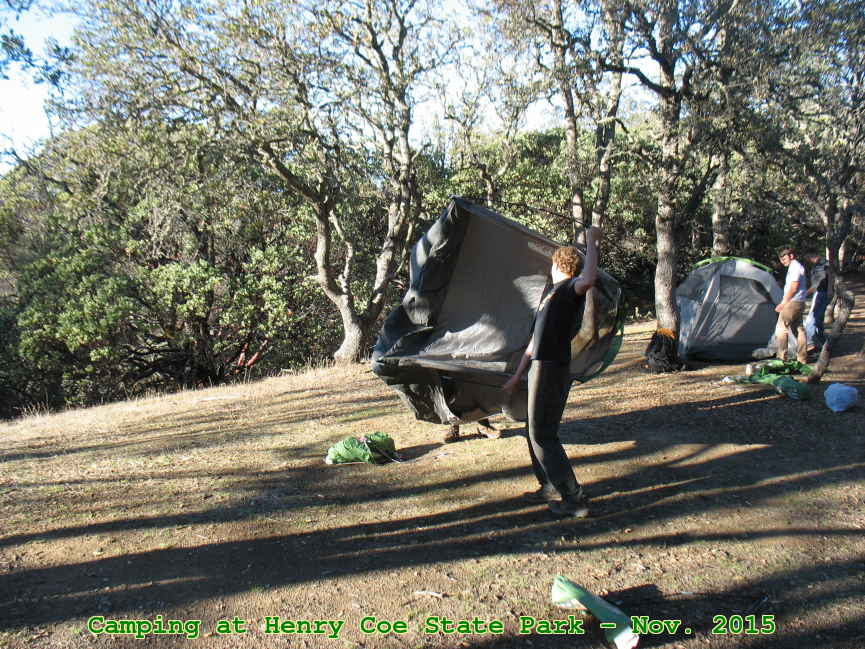 Picture 0007