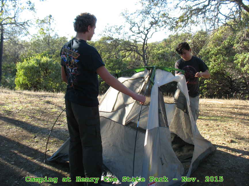 Picture 0009