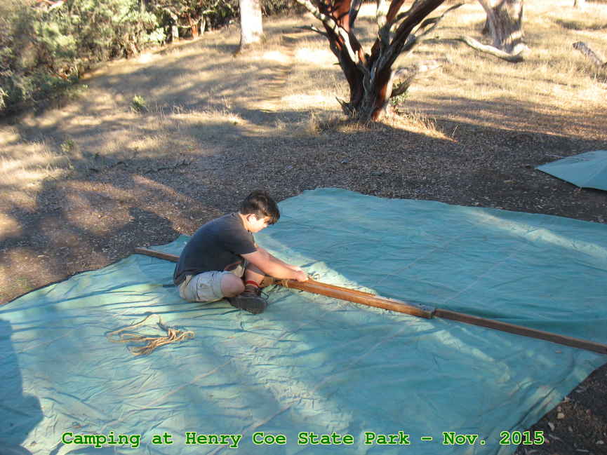 Picture 0010