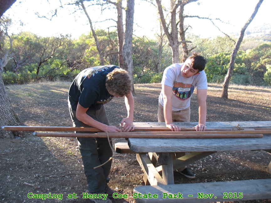 Picture 0011