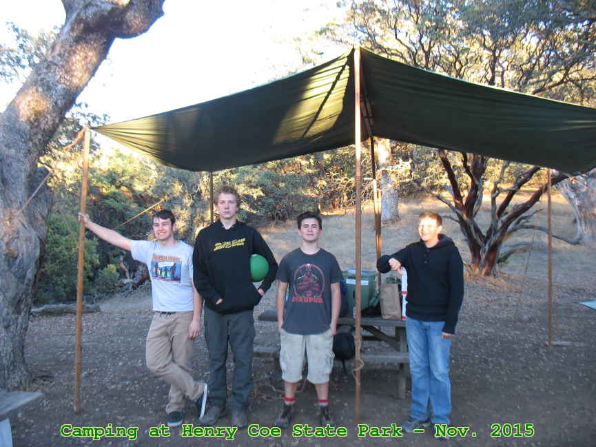 Picture 0012