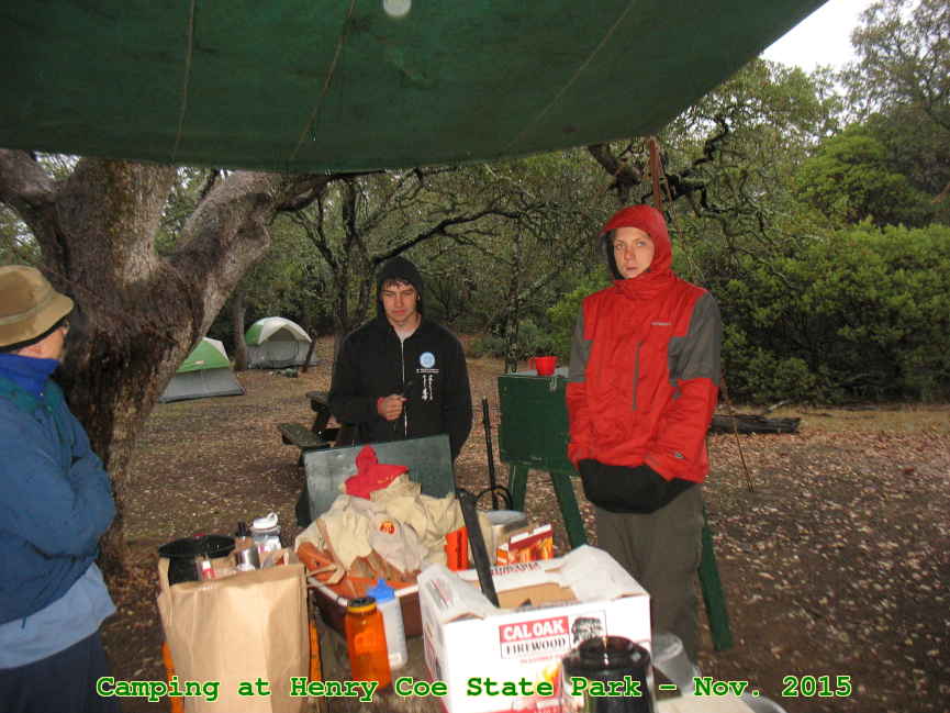 Picture 0021
