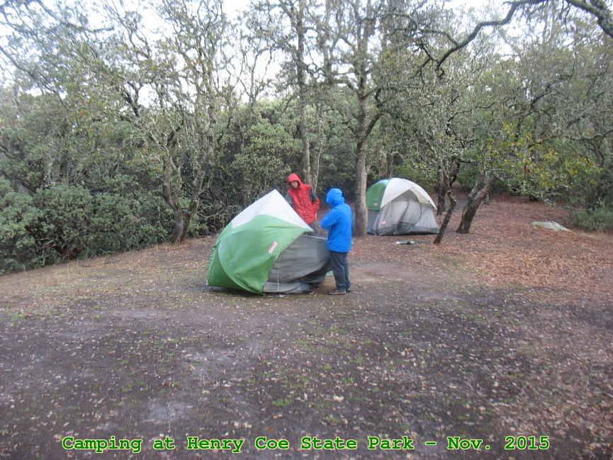 Picture 0026