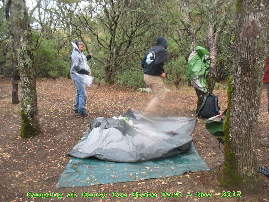 Picture 0028