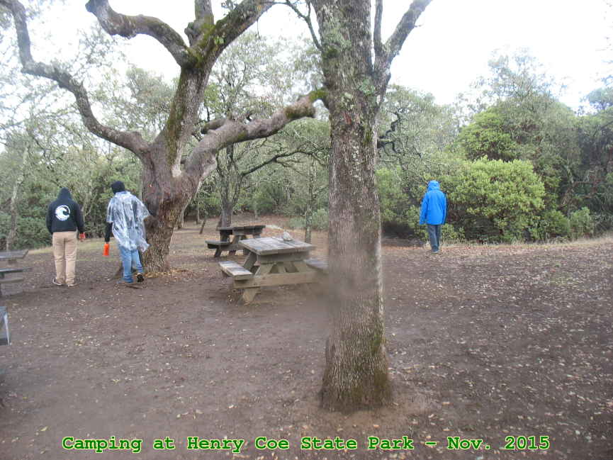 Picture 0029